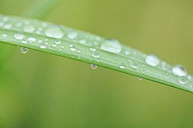 除了《星战》游戏 EA尚有3-4个新作未公布 会继续收购公司